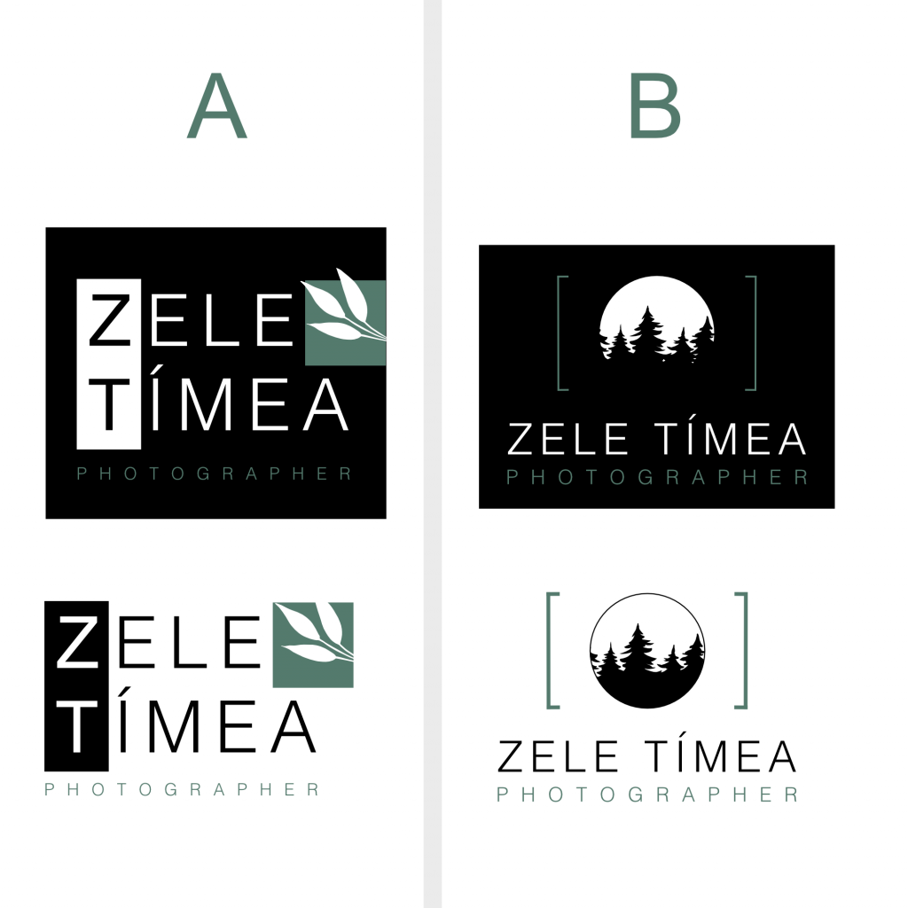 logo design for photographer